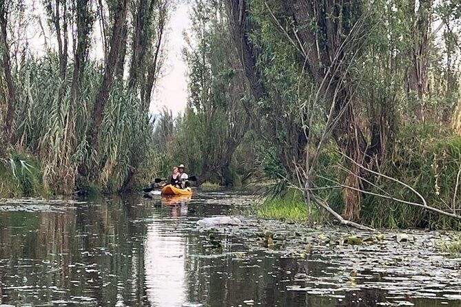 3 Hours of Kayaking at the Ancient Canals of Xochimilco - Key points before you go