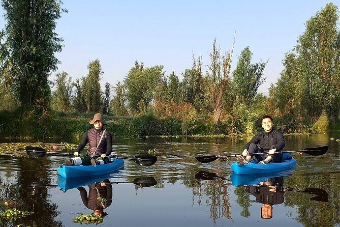 3 Hours of Kayaking at the Ancient Canals of Xochimilco - Your 3-Hour Calm Paddle: What You’ll Actually Do on the Water