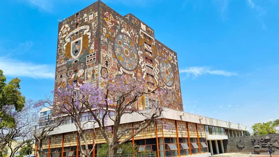 CDMX: Tour of Xochimilco and Coyoacán with option to visit the Frida Kahlo Museum - The big idea: why this is more than two neighborhoods