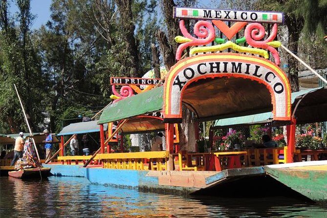 City Tour and Xochimilco Floating gardens - UNAM University City and Olympic Stadium Views: Modern Mexico on Stone
