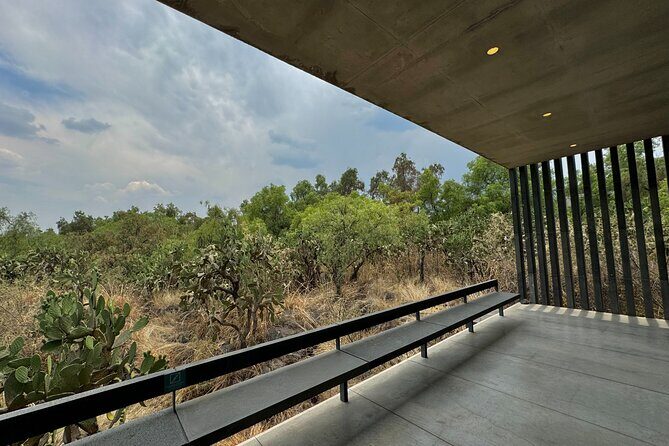 EXCLUSIVE TOUR at Diego Rivera Anahuacalli Museum - Small Groups - What you’ll actually do during the tour (timing and flow)