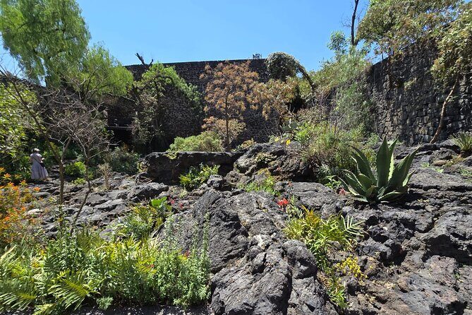 EXCLUSIVE TOUR Luis Barragán Casa Pedregal - small groups - The restaurant near Casa Pedregal: plan your day smart