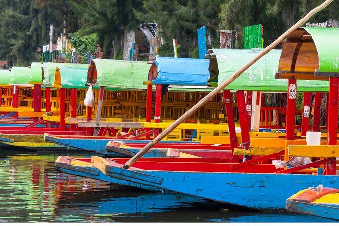 From cdmx: Tour in Coyoacan and Xochimilco all inclusive - Transportation and comfort: small group, air-conditioning, and heat planning
