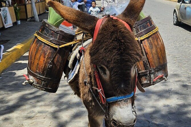 Horseback, Culture & Mexican Flavors Experience - Two hours on horseback: valleys, trails, and breed-match learning