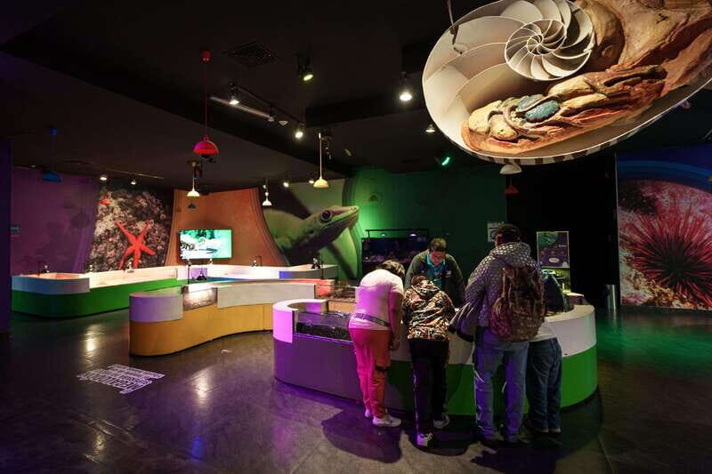 Inbursa Aquarium Entry Ticket with VR Option - Rules that affect what you bring (and how comfortable you’ll be)