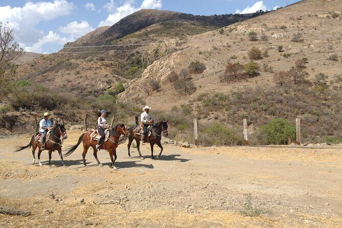 Mexican Equestrian Experience - Morning vs. afternoon: how to choose your best departure