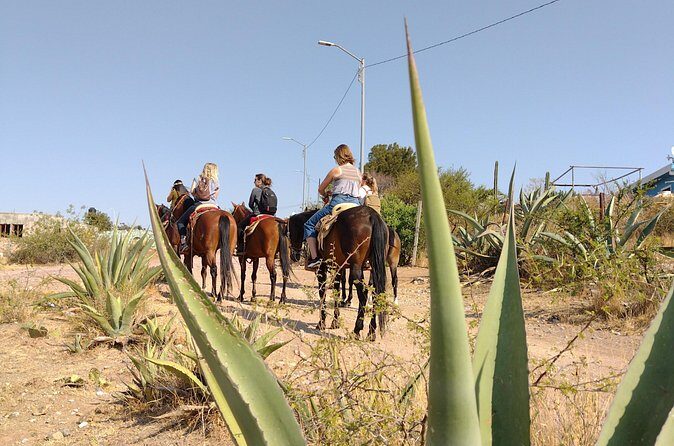 Mexican Equestrian Experience - What the 4.5 hours typically feels like