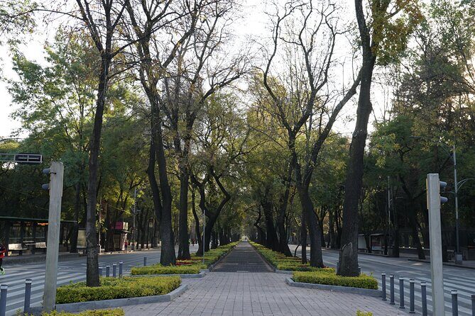 Mexico City: 19 City Highlights Bicycle Tour - Chapultepec Park and Chapultepec Castle Views