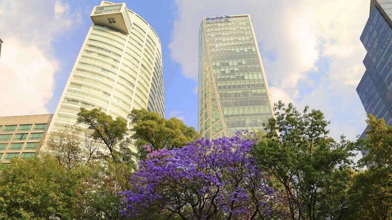 Mexico City: Hop-on Hop-off City Tour by Turibus 1-Day Pass - What to bring and what to skip