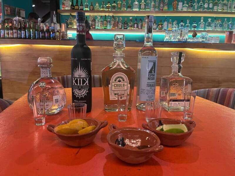 Mexico City: Tequila and Mezcal Museum Tour with Tasting - Key Highlights Worth Blocking Time For