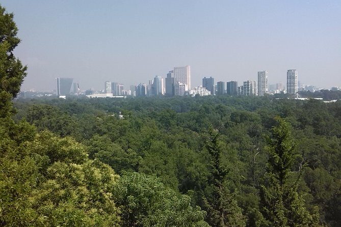 Private Tour Museum of Anthropology and Chapultepec Castle. - Hotel pickup and air-conditioned transport: the underrated win