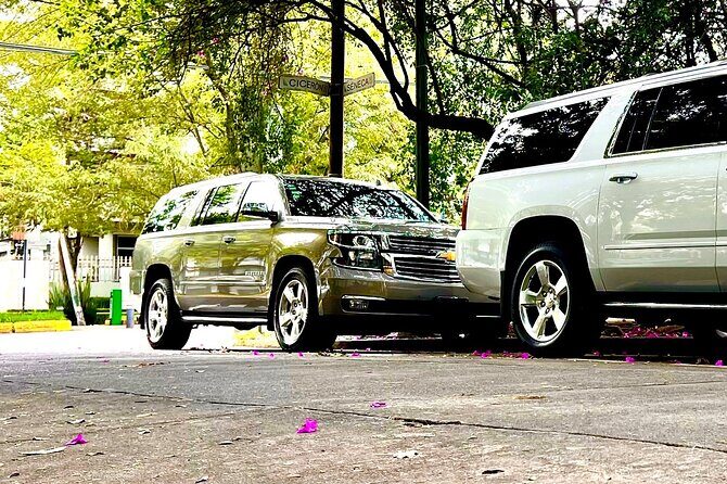 Private Transportation Mexico Airport to Hotels in CDMX - Timing: the included wait time after landing