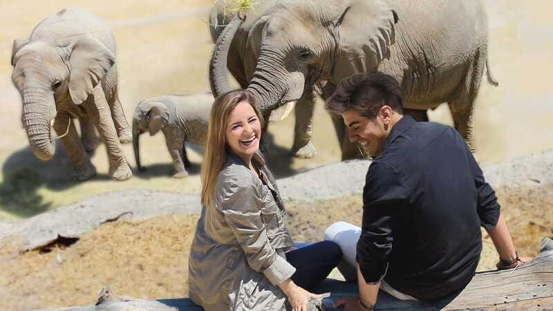 Puebla Africam Safari Park, Live an Unforgettable Adventure! - What your Spanish wildlife guide will cover