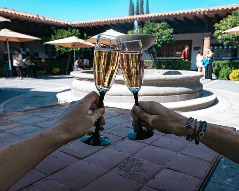 Querétaro: Cheese & Wine Tour In A Day - Viña TX: Cheese Pairings in a Friendly Tequisquiapan Vineyard