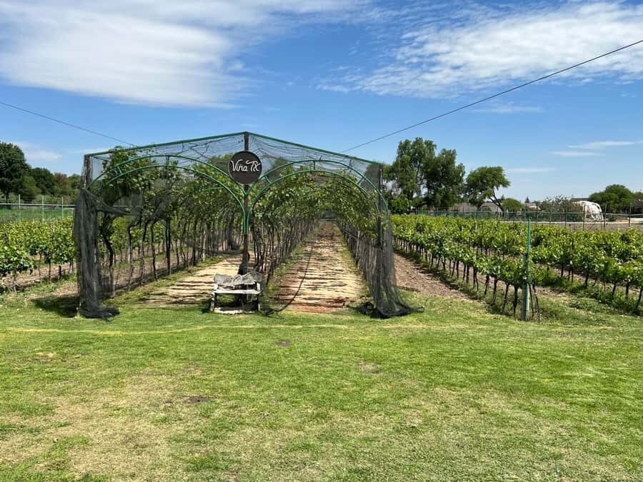Querétaro: Cheese & Wine Tour In A Day - Museo Regional de Querétaro: Where Your Day Starts