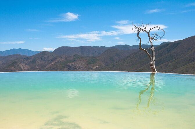 Small Group Boerve del Agua and Mezcal Tour from Oaxaca Centro - Key highlights you’ll actually feel