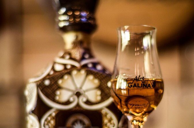 Tequila Tasting -Masterclass and Blind Tasting - Who This Tequila Experience Is Best For (and Who Might Want Another Option)