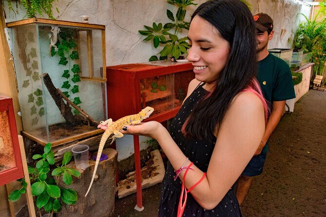 Xochimilco Floating Adventure - Small Groups - The day at a glance: how the 4–5 hours usually feel