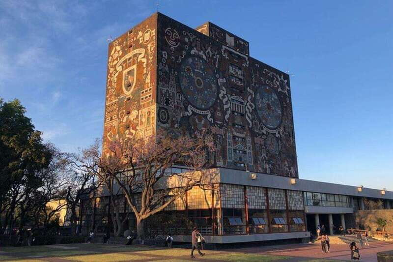 Xochimilco floating gardens, Coyoacan and UNAM murals - Price and logistics that actually affect your day