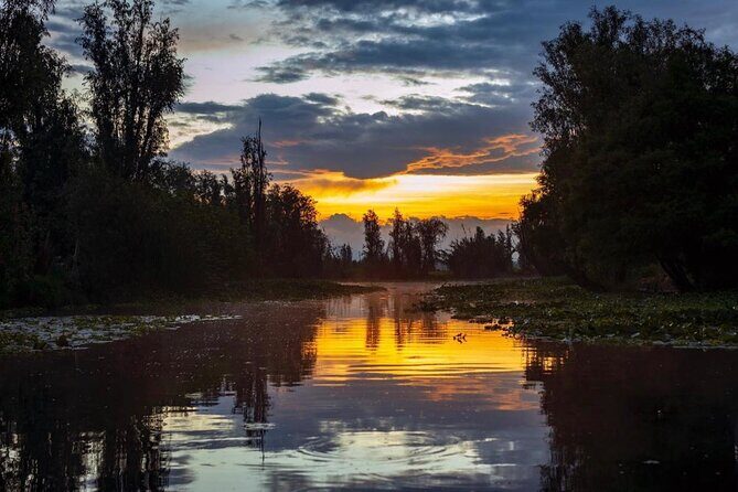 Xochimilco Sunrise from Mexico - Getting picked up at dawn (and why it matters)