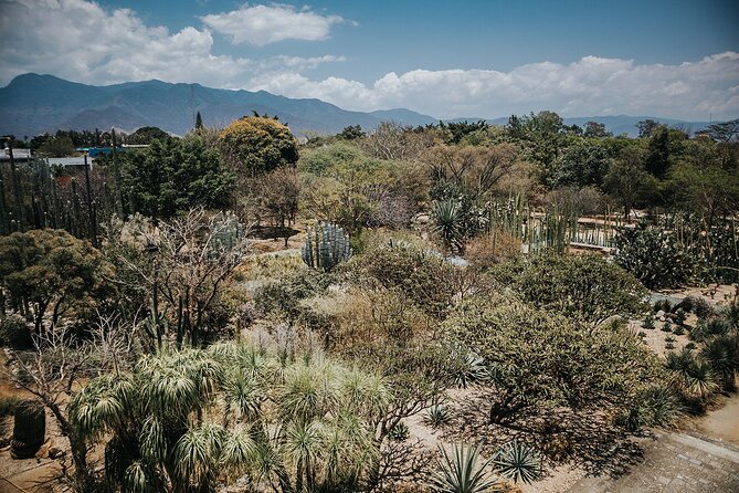 Oaxaca City Walking Tour - Markets, Textile museum & Lunch - Chocolate, mezcal, and the pasillo de humo